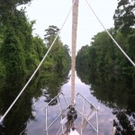 Dismal Swamp Canal