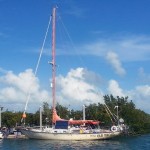 Great Old Broad