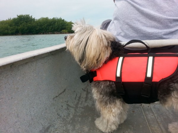 Demi loves riding in the canoe