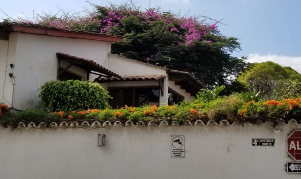 Antigua home